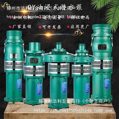 上海QY油浸式潜水泵380V农用灌溉高扬程大流量深井三相人民抽水机