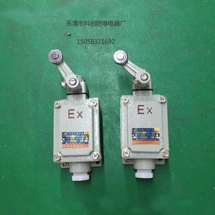 防爆行程开关BLX5Z BZX51 左摇右摇双摇滚轮柱塞式