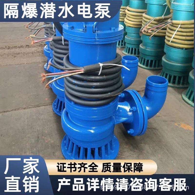 煤安证防爆潜水泵矿用隔爆型排污排沙潜水泵矿用潜水BQS20-50-7.5