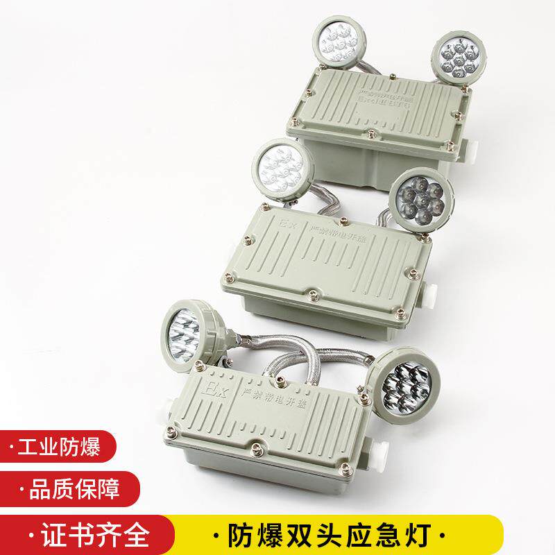 LED防爆应急灯双头应急灯照明停电应急灯具防爆标志灯