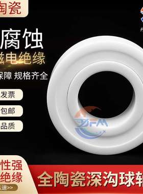 丹洋全陶瓷轴承 6016 6017 6018 6019 6020CE ZZ