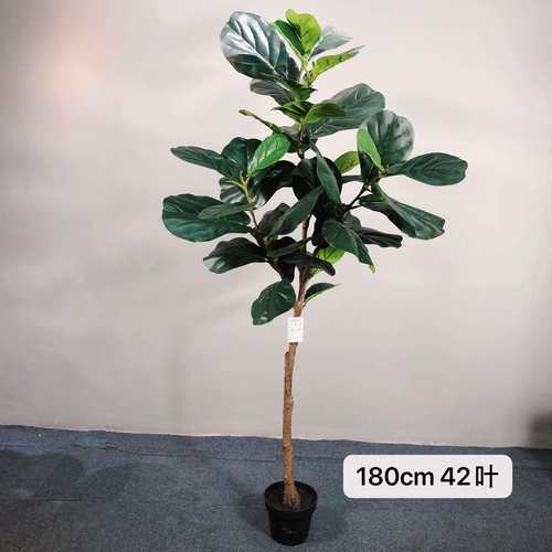 仿真琴叶榕盆栽人造绿植琴叶榕客厅落地景观植物装饰