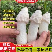 四川宜宾特产短裙小竹荪干货蜀南竹海竹荪鲜煲汤火锅食材50g