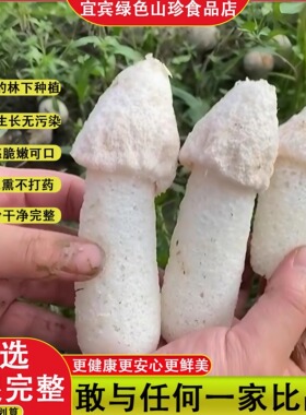 四川宜宾特产短裙小竹荪干货蜀南竹海竹荪鲜煲汤火锅食材50g