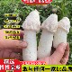 四川宜宾特产短裙小竹荪干货蜀南竹海竹荪鲜煲汤火锅食材50g