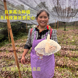 四川宜宾蜀南竹海宜宾特产长裙竹荪干货净重煲汤火锅佳品50g