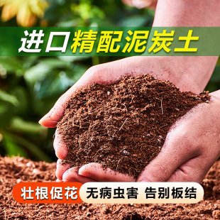营养土养花种菜通用疏松透气有机泥炭土花卉绿植土壤种植土腐殖土