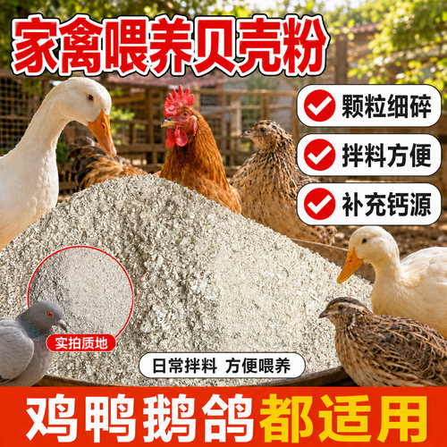贝壳粉高钙禽用饲料补钙防软壳