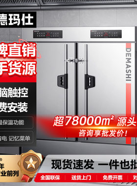 德玛仕商用大型海鲜蒸箱全自动电热双门 不锈钢食堂炖汤蒸饭柜304