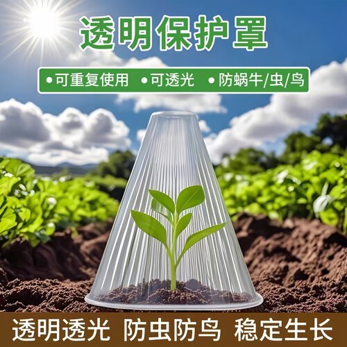 加高加厚育苗保护罩免受鸟类伤害