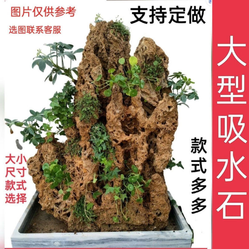 庭院吸水石假山上水石石头原石奇石天然上水石盆景花园园林造景观