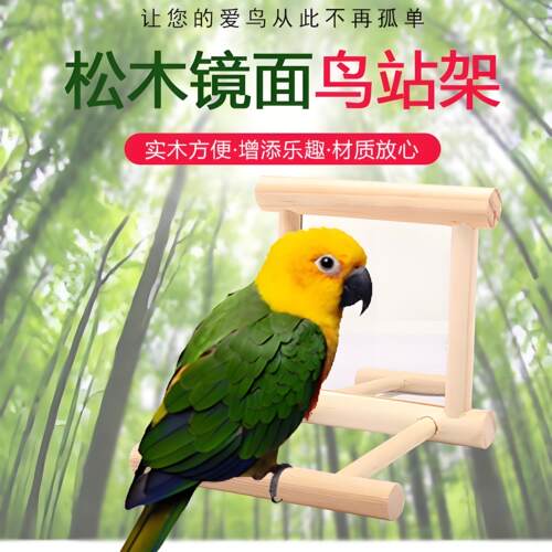 鹦鹉镜子站架专用鸟笼站杆站台