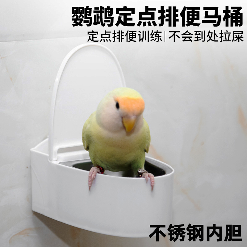 鹦鹉马桶厕所定点排便不锈钢内胆
