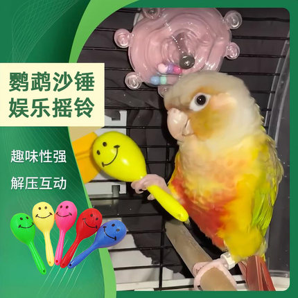 鹦鹉玩具小沙锤摇铃玄凤虎皮牡丹鸟啃咬磨牙发泄解闷自嗨益智训练