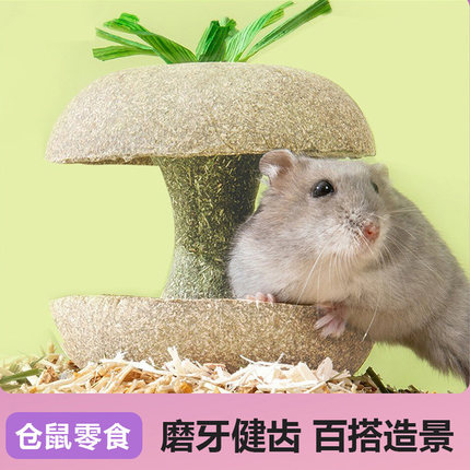 仓鼠粮食苹果核磨牙棒金丝熊解闷营养小零食磨牙玩具造景用品大全