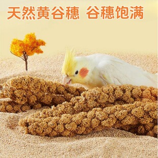 鹦鹉天然谷穗带壳黄谷子小米玄凤虎皮饲料鸟粮鸟食文鸟珍珠鸟零食