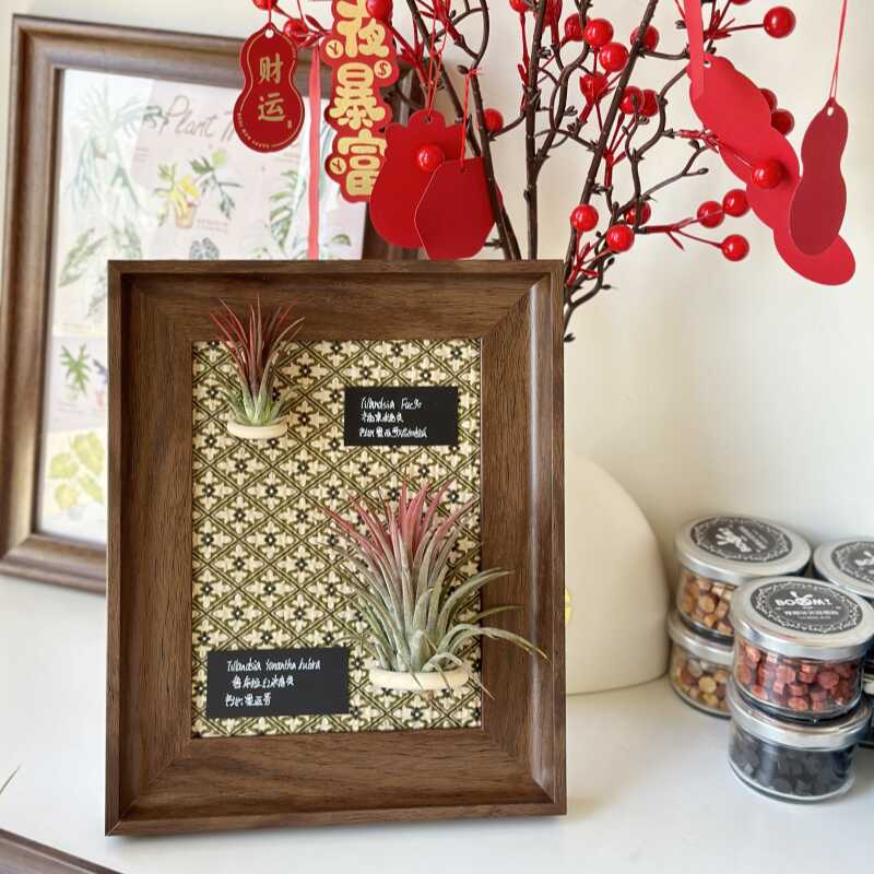 家居乔迁软装客厅植物装饰画创意