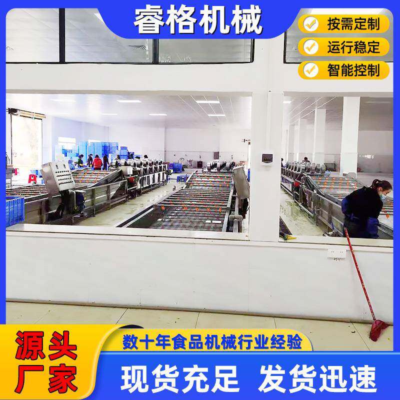 果蔬菜清洗机 不锈钢水全自净DEH菜加工设动备 毛清豆气泡洗流水