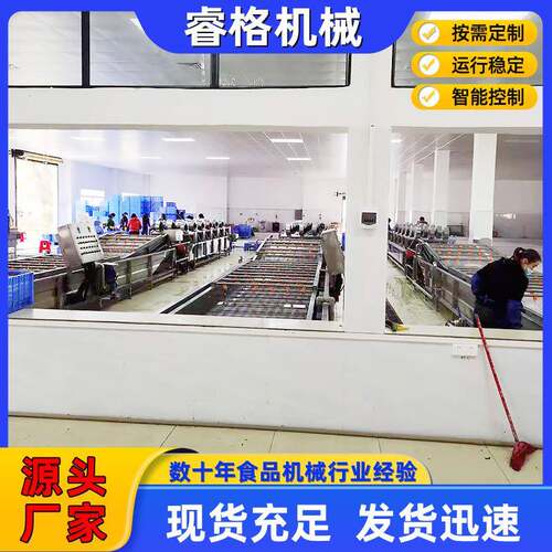 果蔬菜清洗机 不锈钢水全自净DEH菜加工设动备 毛清豆气泡洗流水