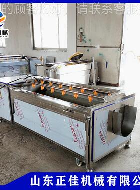 豆去皮毛辊清洗机 KWZ根毛茎类果蔬清洗 机马铃薯土辊去皮清洗机