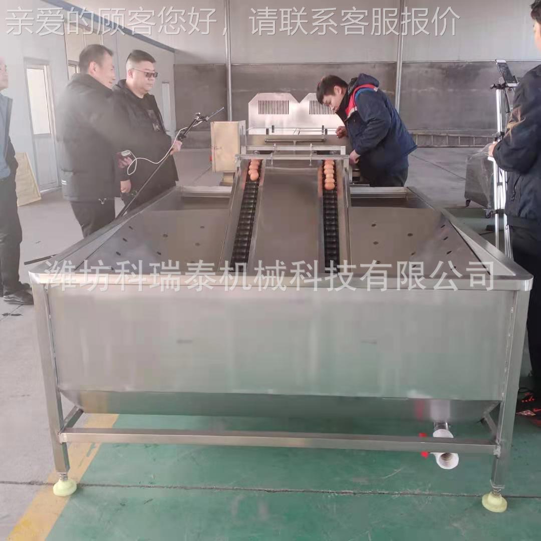 蛋类加工休闲食厂适鸡用鸭蛋洗蛋机品 中小养型殖场鸡蛋VUZ清洗线