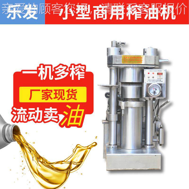 自商用流核动桃榨油机设备斤液压榨油DVL机小型8全动立式压油机