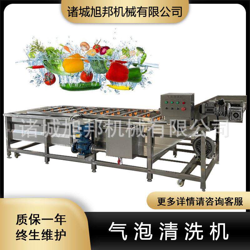 青橄榄西红柿气泡清洗机红枣辣椒清洗设备多功能长豆角洗菜机器