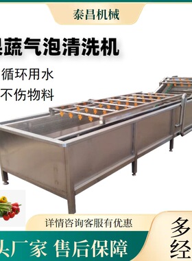 全自动果蔬气泡清洗机蘑菇山野菜清洗去杂机预制菜喷淋式洗菜机