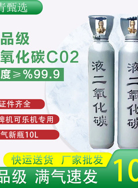 国标二氧化碳气瓶食品级碳酸精酿啤酒气罐10升通用提供送货服务
