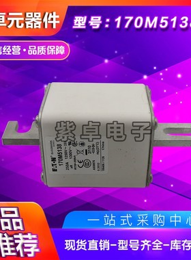 170M5114 170M5115 170M5116 170M5117 170M5118巴斯曼快速熔断器