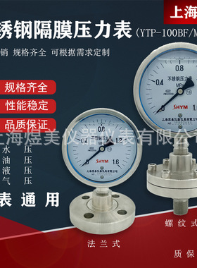 YTP100BF螺纹法兰连接DN25 DN50 316L衬四氟不锈钢耐震隔膜压力表
