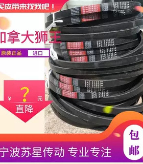 加拿大狮王 CNA SWR V BELT三角带SPB2870 SPB2900 SPB2932