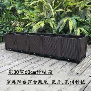 家庭蔬菜花卉种植箱 宽30宽60cm长方形果树盆 花盆 阳台植物花槽