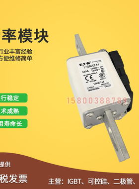 适用快速熔断器保险丝170M4763/4764/4765/476J6/4767/4768/4769/