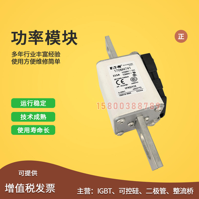 适用快速熔断器保险丝170M4763/4764/4765/476J6/4767/4768/4769/