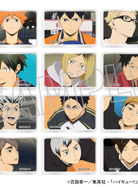 Movic 排球少年 迷你亚克力块盲抽