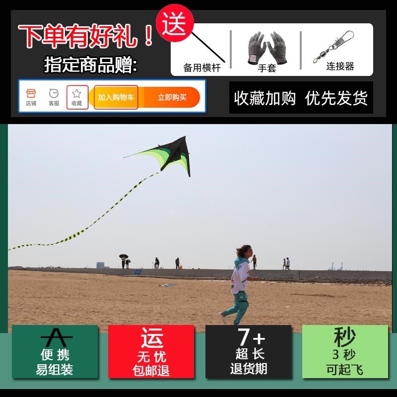 风筝2020年新款超大巨型专业级高级特大大型2021大人专.用网红创