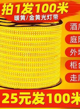超亮金黄光灯带ledp灯条外墙室外房檐装饰照明软管黄色户外防水暖