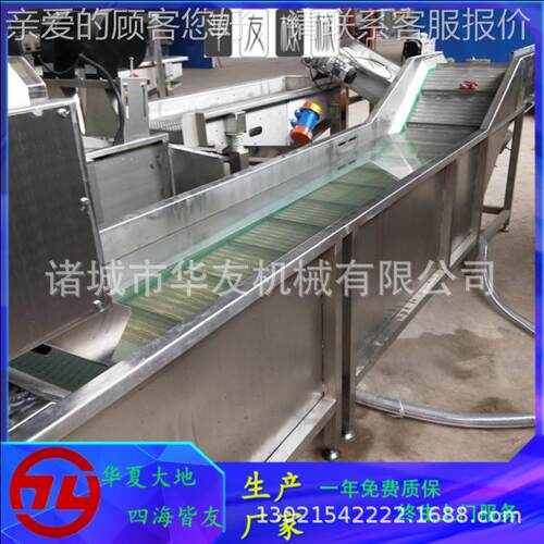 全动不锈钢清果蔬清洗线 速冻豆角气泡自洗QZR 芸豆机去杂鼓泡设