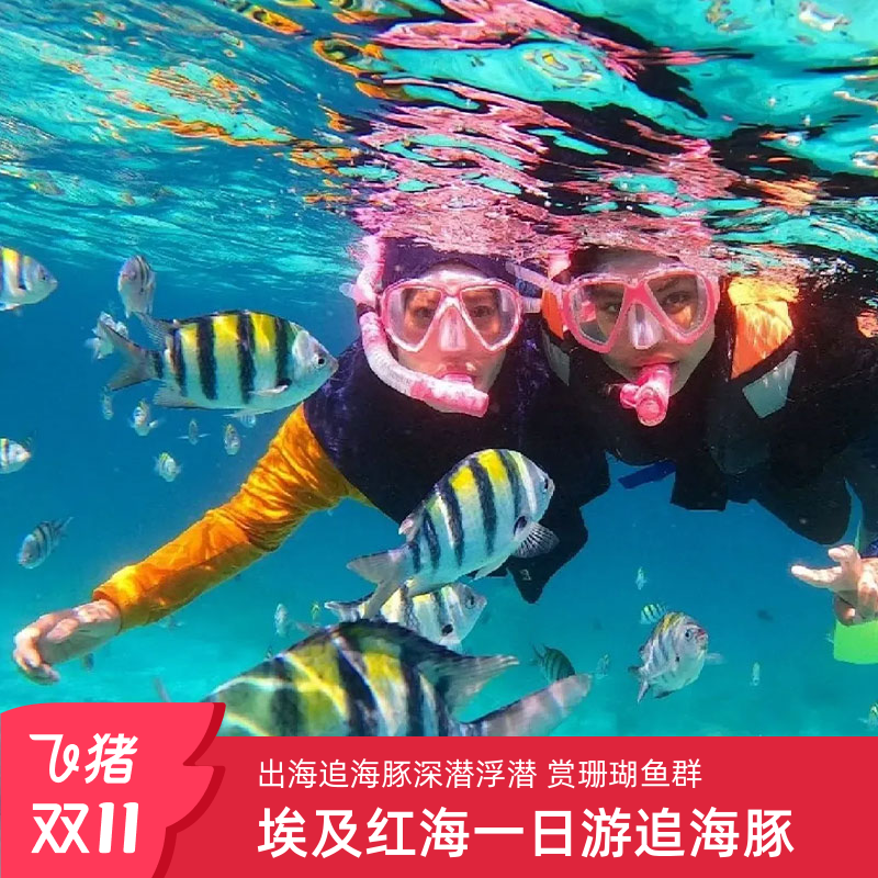 红海沿岸一日游