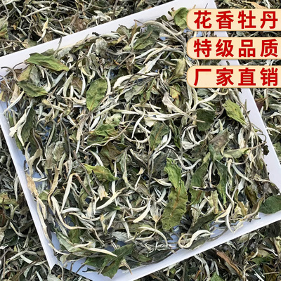 2026新茶正宗福建明前高山头采白茶特级花香白牡丹散茶嫩芽春茶叶