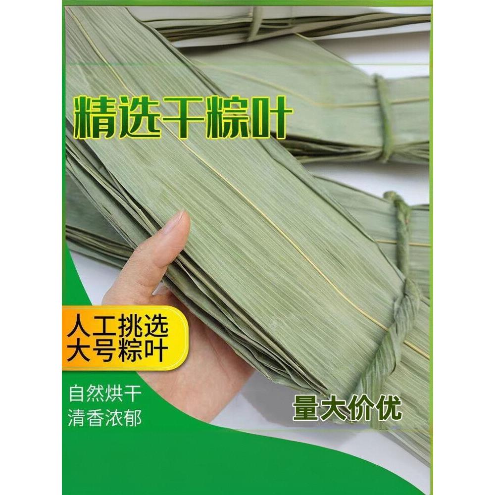 大码商用粽子叶新鲜大号麻竹叶家用包粽子叶子天然干粽叶芦苇叶