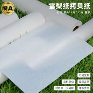 17g拷贝纸 服装雪梨纸薄页纸电镀玻璃假发水果包装纸撑包半透明纸