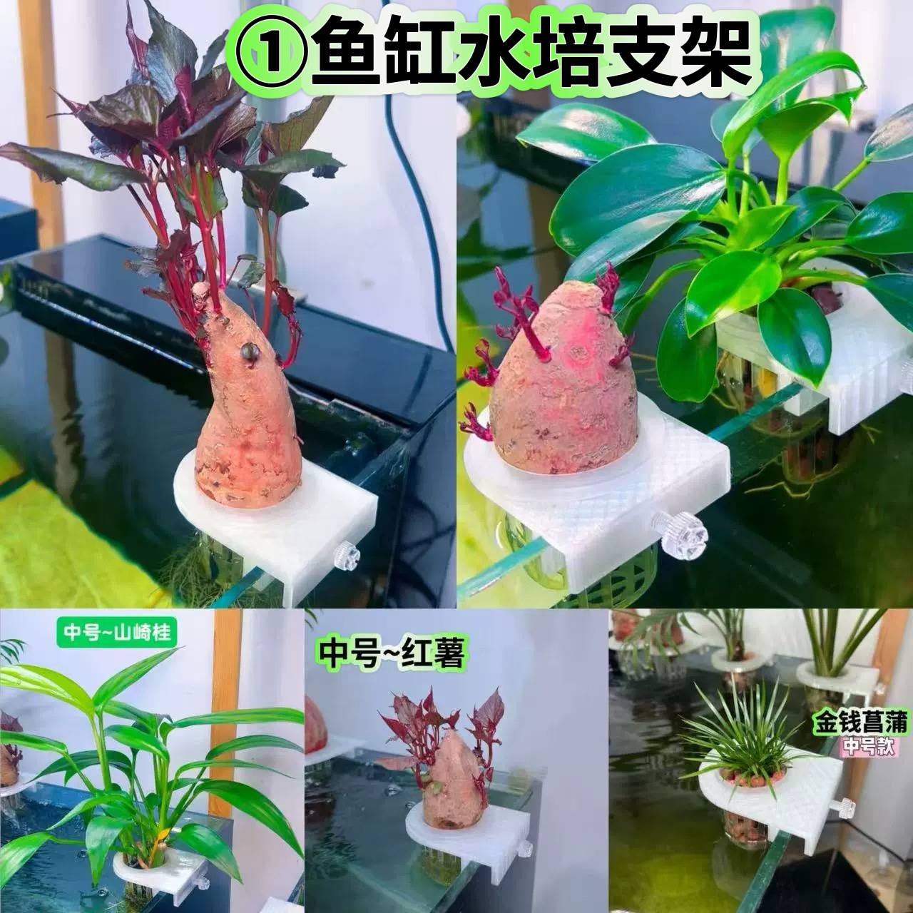 鱼缸挂壁植物培育造景配件水培