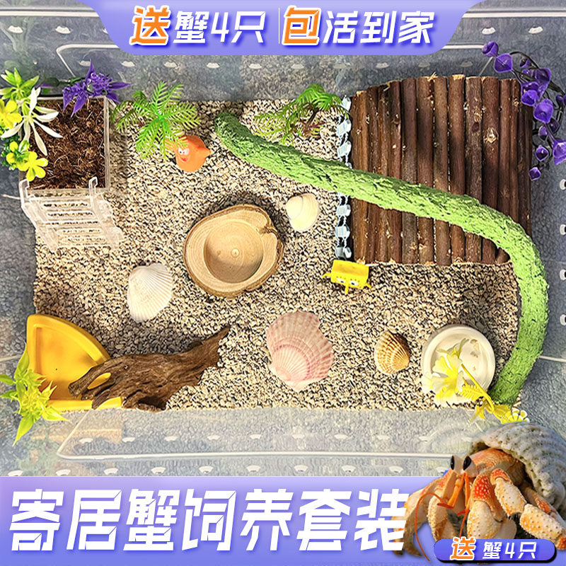 寄居蟹饲养箱盒套装恒温造景躲避水盆攀爬儿童礼物新手套餐宠物缸
