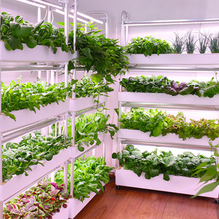 多层种蔬菜神器智能种植机阳台家庭室内水培水耕立体无土栽培设备