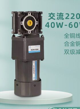 V齿轮减速电机流双60403低速6调WR220RV级交40V速自锁涡轮蜗杆W