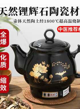 全自动壶煎药壶家用插电煎中医砂锅熬药煲陶瓷炖药机煮罐