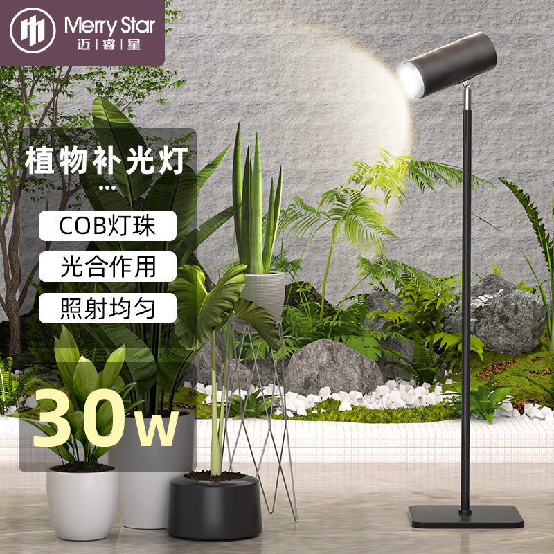 迈睿星落地植物灯生长灯上色全光谱室内热植绿植阳光多肉补光灯