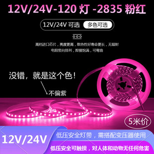 LED12V/2i4V超亮粉色灯带24V户外防水粉红色灯带12V自粘线形灯带